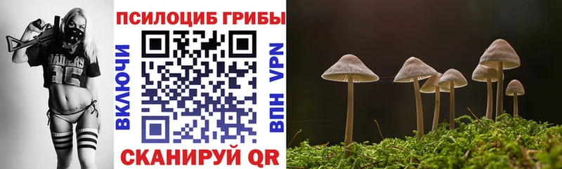 Галлюциногенные грибы MAGIC MUSHROOMS  сколько стоит  Черняховск 