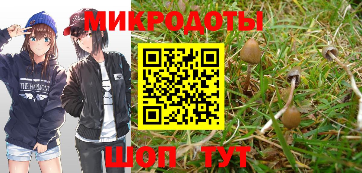 Галлюциногенные грибы мицелий Черняховск