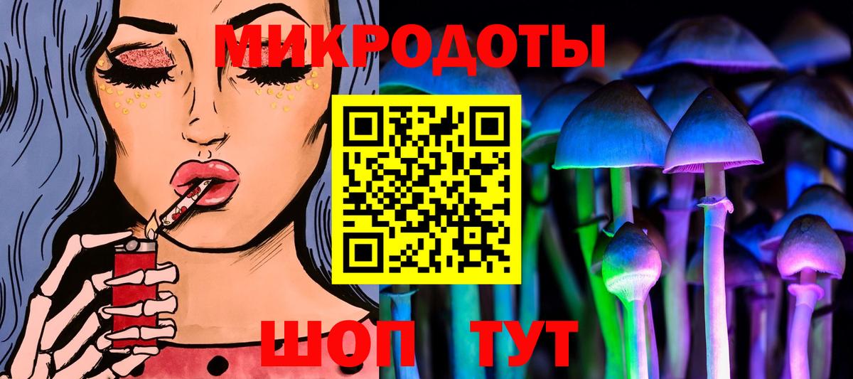 Псилоцибиновые грибы Psilocybe Черняховск